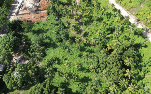 Land in Coson ideal for small project and investment
